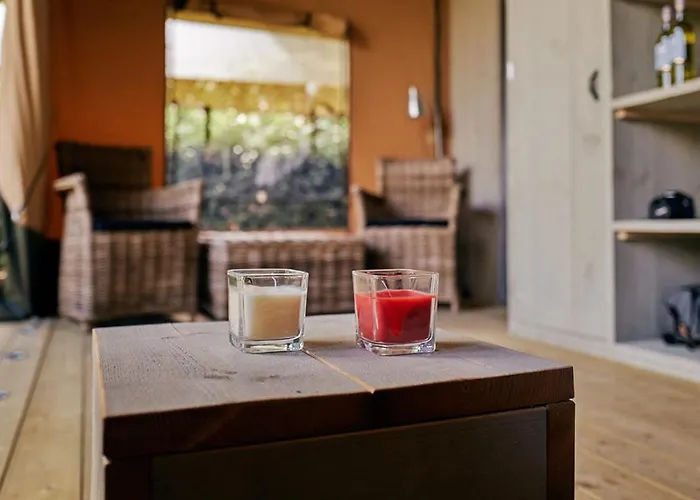 Glamping Florence 럭셔리텐트 *